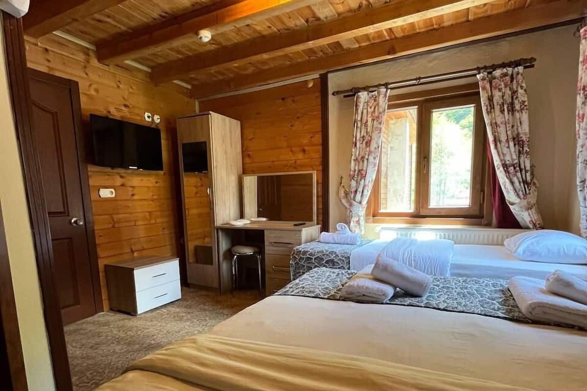 Triple Room, Mountain View | 1 bedroom, Egyptian cotton sheets, premium bedding, down comforters