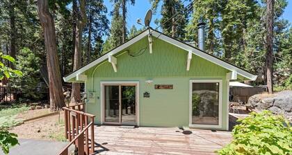 Happy Bear- cozy & quaint cabin near the lake!