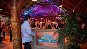 A waterfront bar and grill named 'DOLPHINS' with a wooden structure and tropical plants. - Pura Vida- Floating Home (Merritt Island)