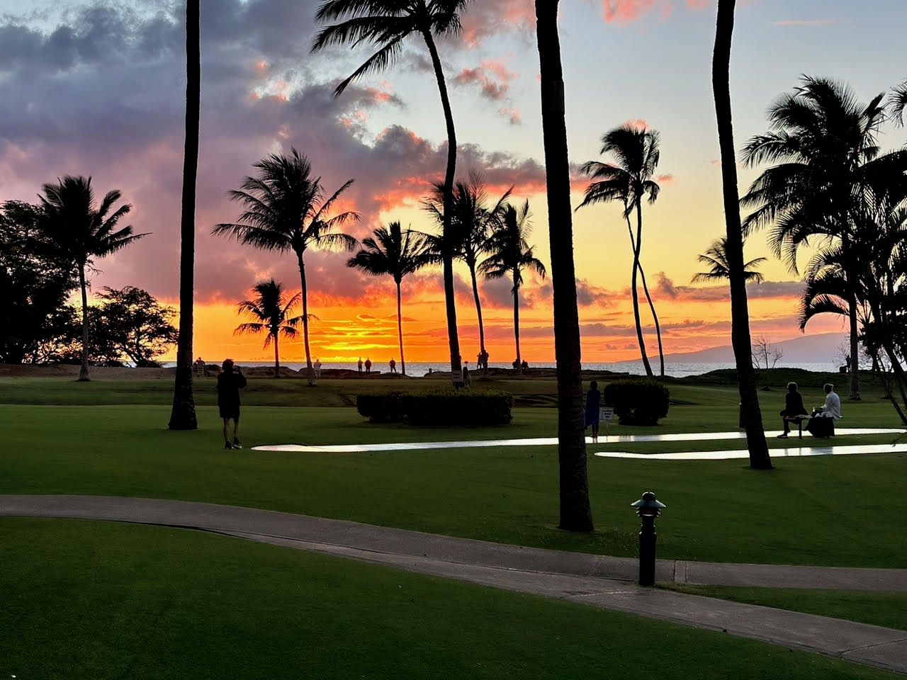 Ein Golfplatz mit Palmen und einem Sonnenuntergang im Hintergrund.
