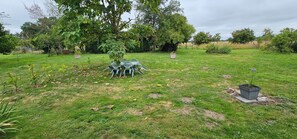 Outdoor dining - Gîte "Le Figuier (Villebernier)