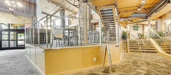 Hike, Bike & Explore: Wintergreen Resort Condo