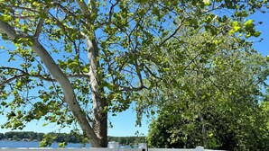 A wooden deck with rocking chairs overlooking a body of water, surrounded by white railings and lush greenery. - Spacious House + boat house on clear, sandy-bottom lake. Arcade + Billiards room (Wolcottville)