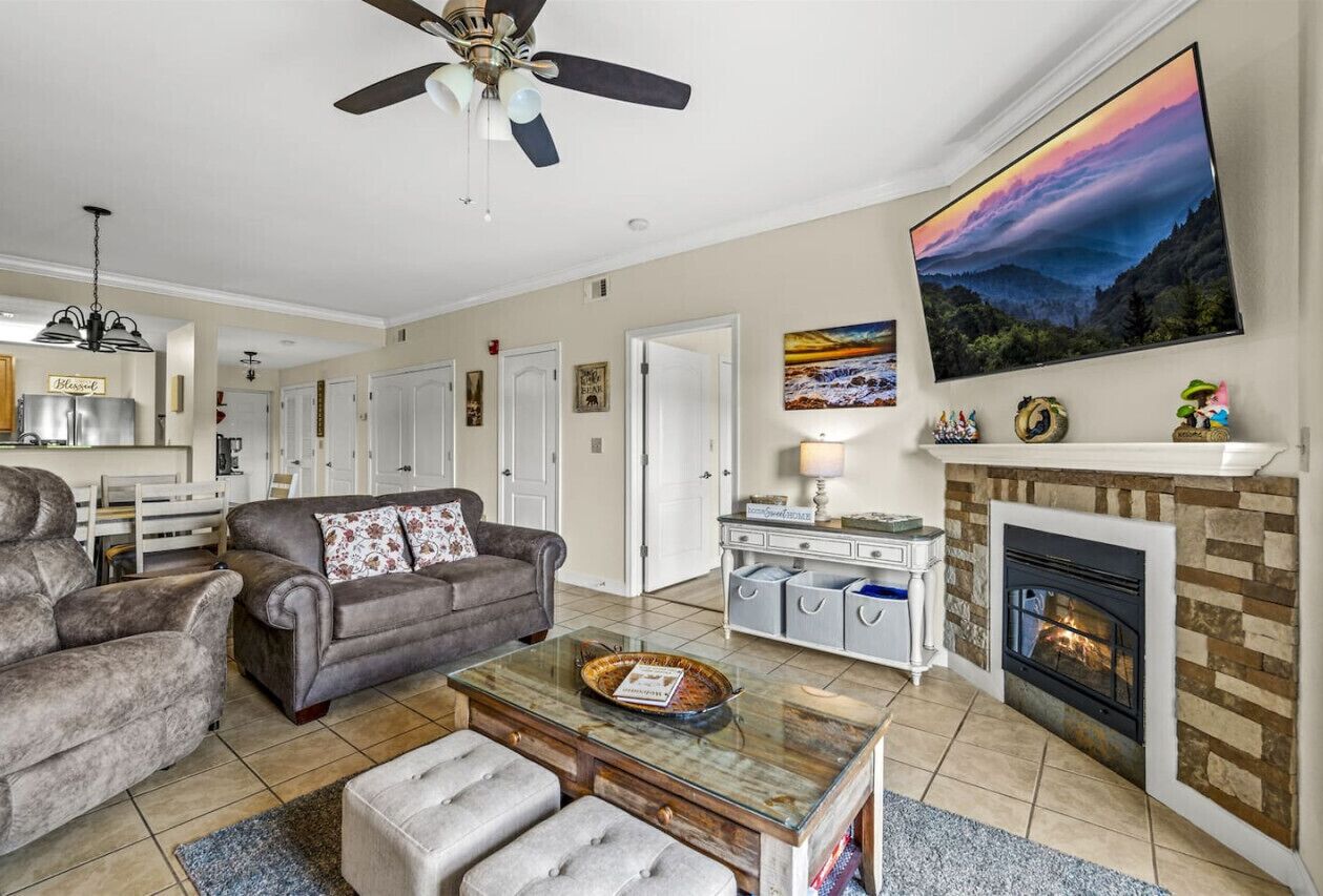Smart TV, fireplace, books