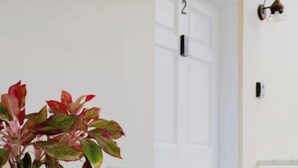 Eine weiße Tür mit der Nummer 2 darüber, eine weiße Wand, ein weißer Metallstuhl, ein weißer Tisch mit Glasplatte und ein Topfpflanze mit rotgrünen Blättern.