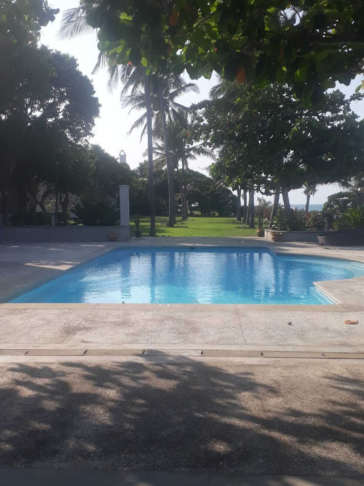 Una piscina rodeada de árboles y vistas al océano.