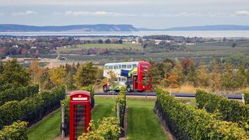 Áreas de la propiedad