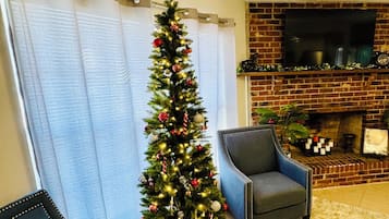 Smart TV, fireplace, books