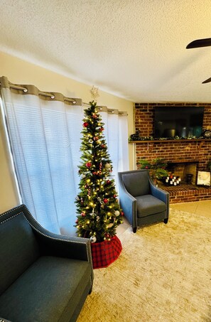 Smart TV, fireplace, books