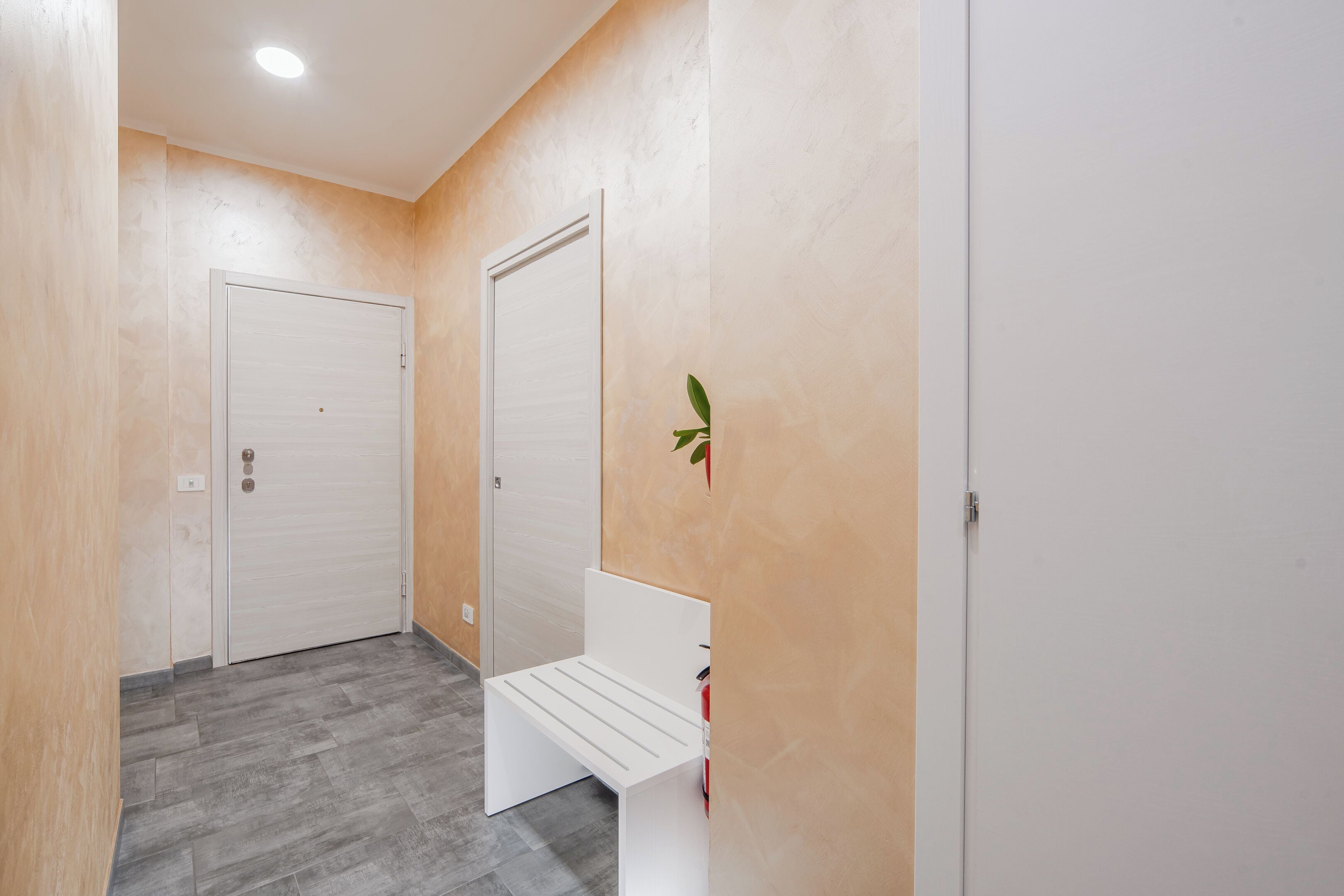 A hallway with a white bench, a door, and a wall-mounted plant.