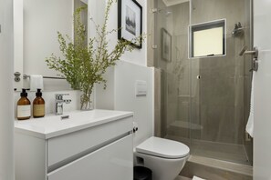 Shower, hair dryer, towels, shampoo