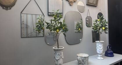 Phaedrus Living Hoopoe Residencies 001