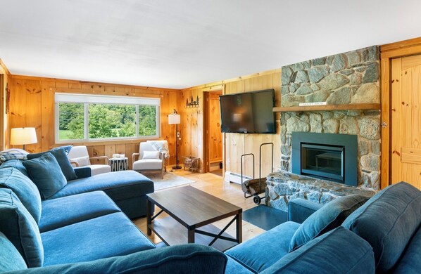 Smart TV, fireplace, video games, books