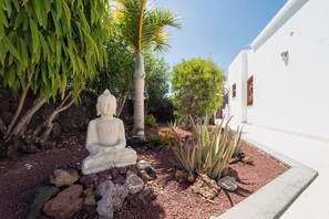 Ein ruhiger Garten mit einer Buddha-Statue, verschiedenen Pflanzen und einem weißen Gebäude.