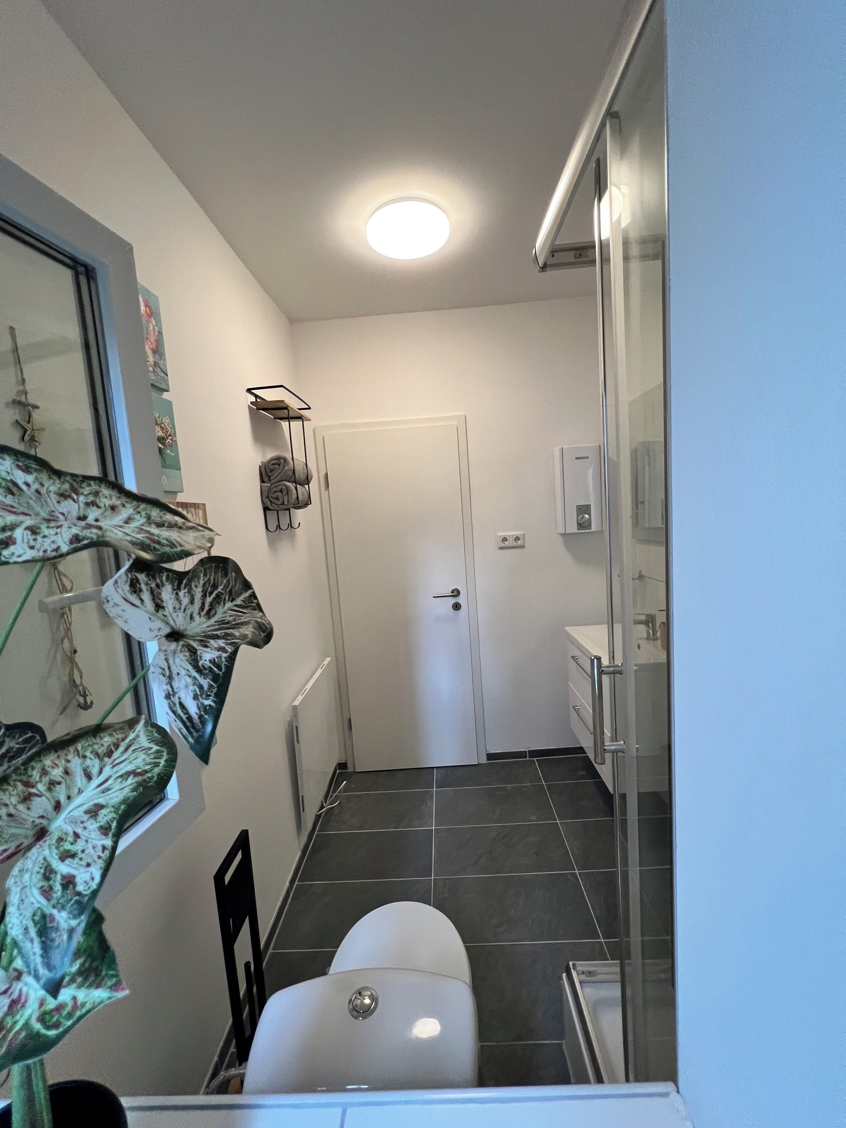 Un baño con inodoro, lavamanos y ducha. Hay un perchero en la pared y una puerta que da a otra habitación.