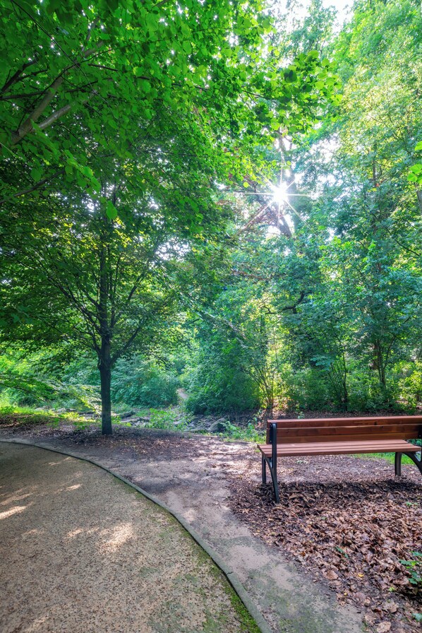 A park with a paved path, a wooden bench, and dense green foliage. - Waldhotel Schöneiche - Self-Check-in (Schoeneiche bei Berlin)