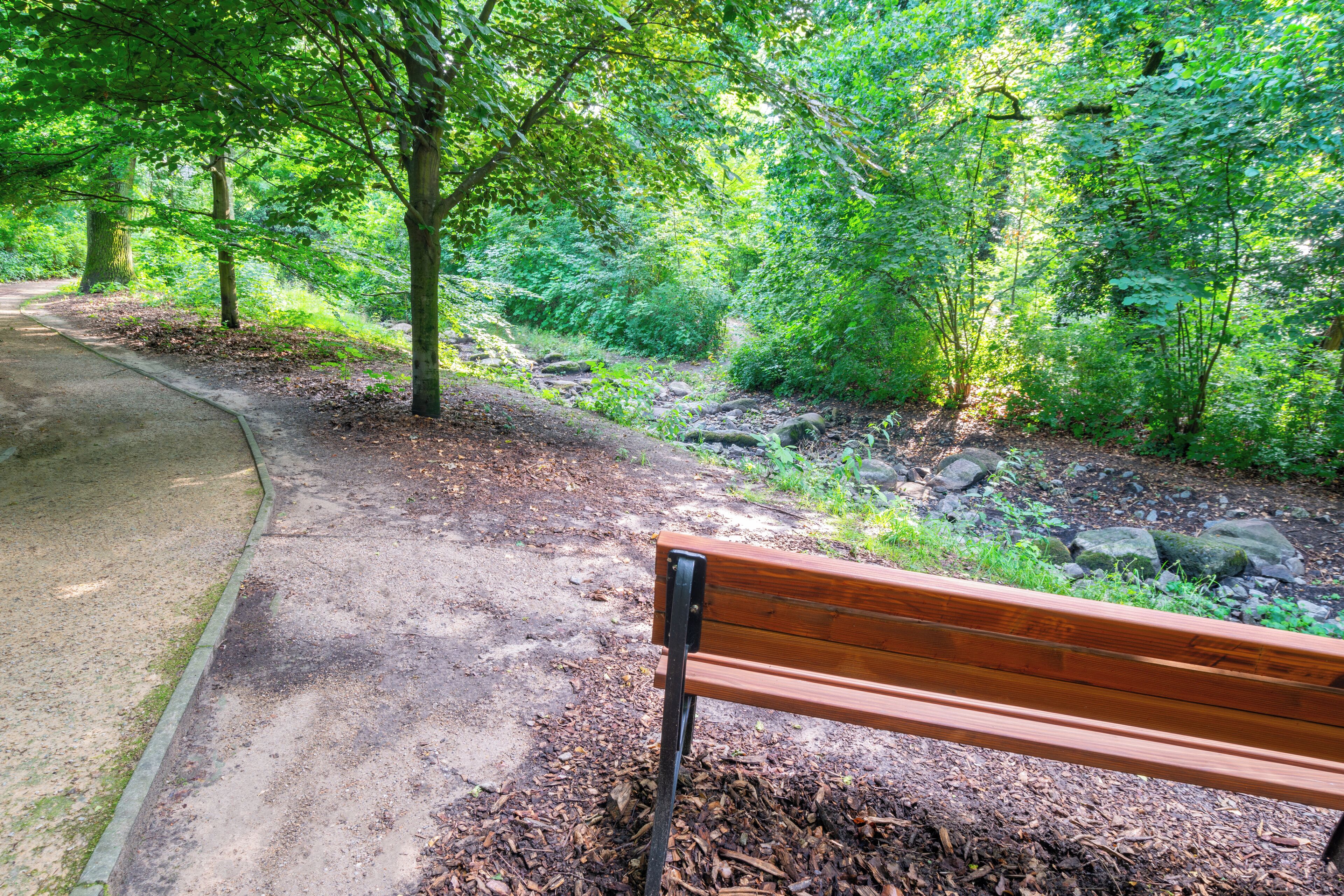 Un banc de parc situé dans une zone boisée, à proximité d’un chemin pavé et entouré de nature.