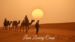 A desert landscape with camels and a person walking, and the text "Luna Luxury Camp". - Luna Luxury Camp (Rissani)
