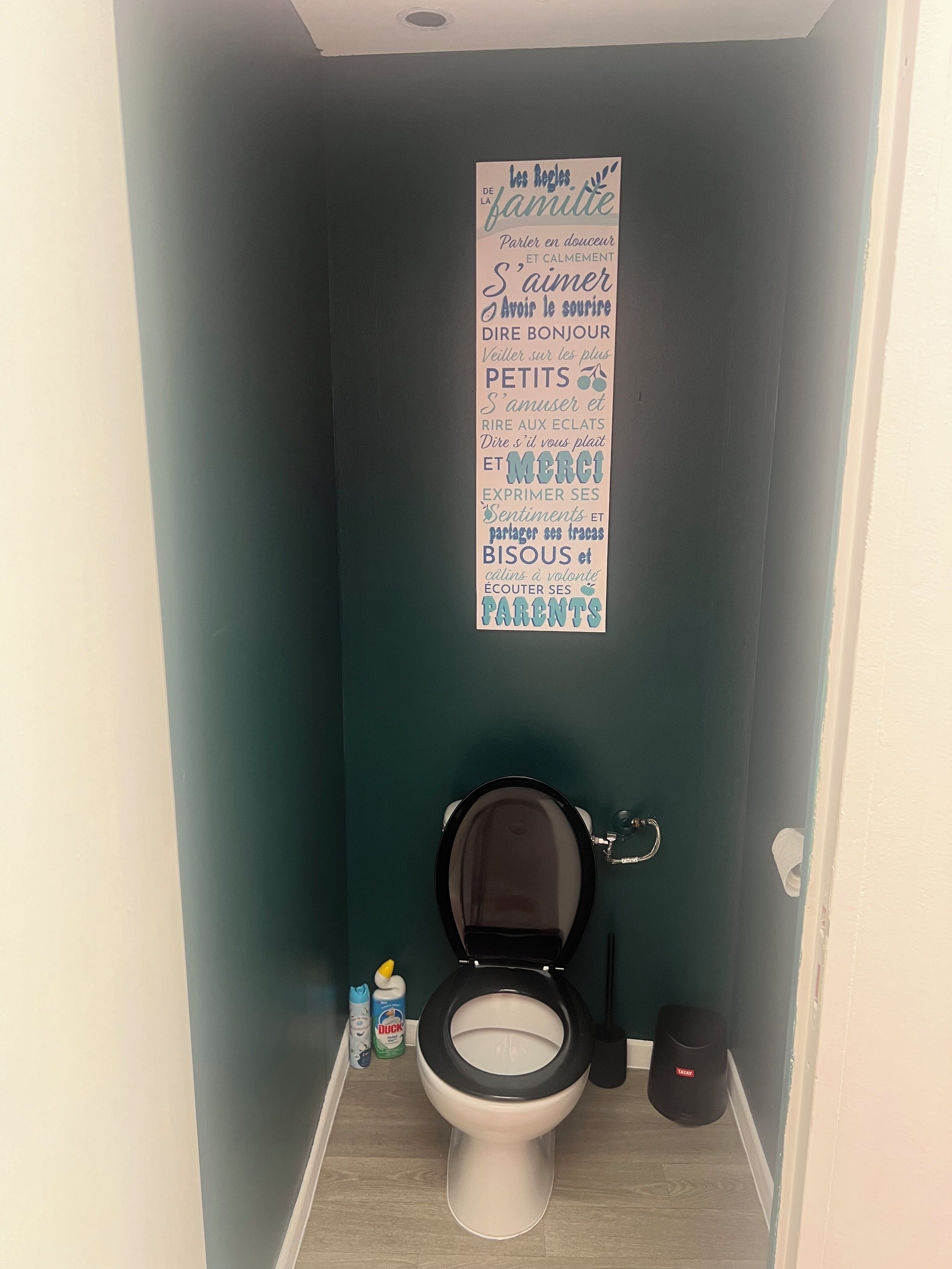 Un baño pequeño con paredes verde azulado, un inodoro blanco y un letrero con frases en francés.