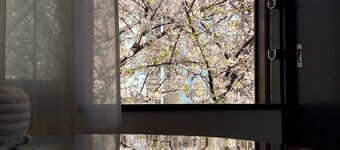 Penthouse 1-bedroom flat in Hiroo Shibuya