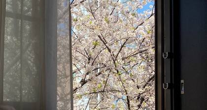 Penthouse 1-bedroom flat in Hiroo Shibuya