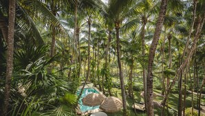 Unclassified image, 5 of 39, button - Hacienda Palancar Sian Ka an Luxe 7BR Hideout (Tulum)