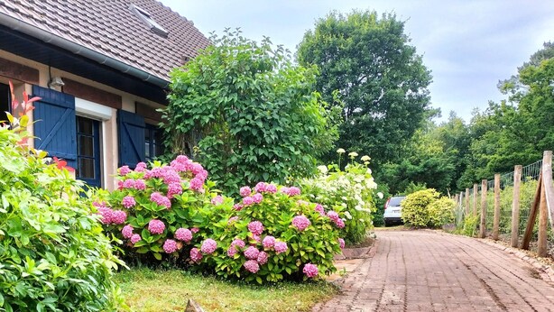 Une maison avec un chemin de briques menant à une porte bleue, entourée d’une végétation luxuriante et de fleurs roses.