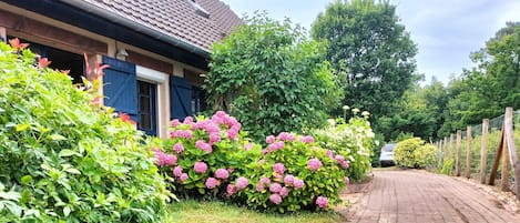 Une maison avec un chemin de briques menant à une porte bleue, entourée d’une végétation luxuriante et de fleurs roses.