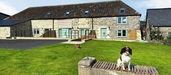 The Cider Shed -UK47420
