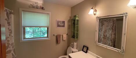 A bathroom with a toilet, sink, and window.