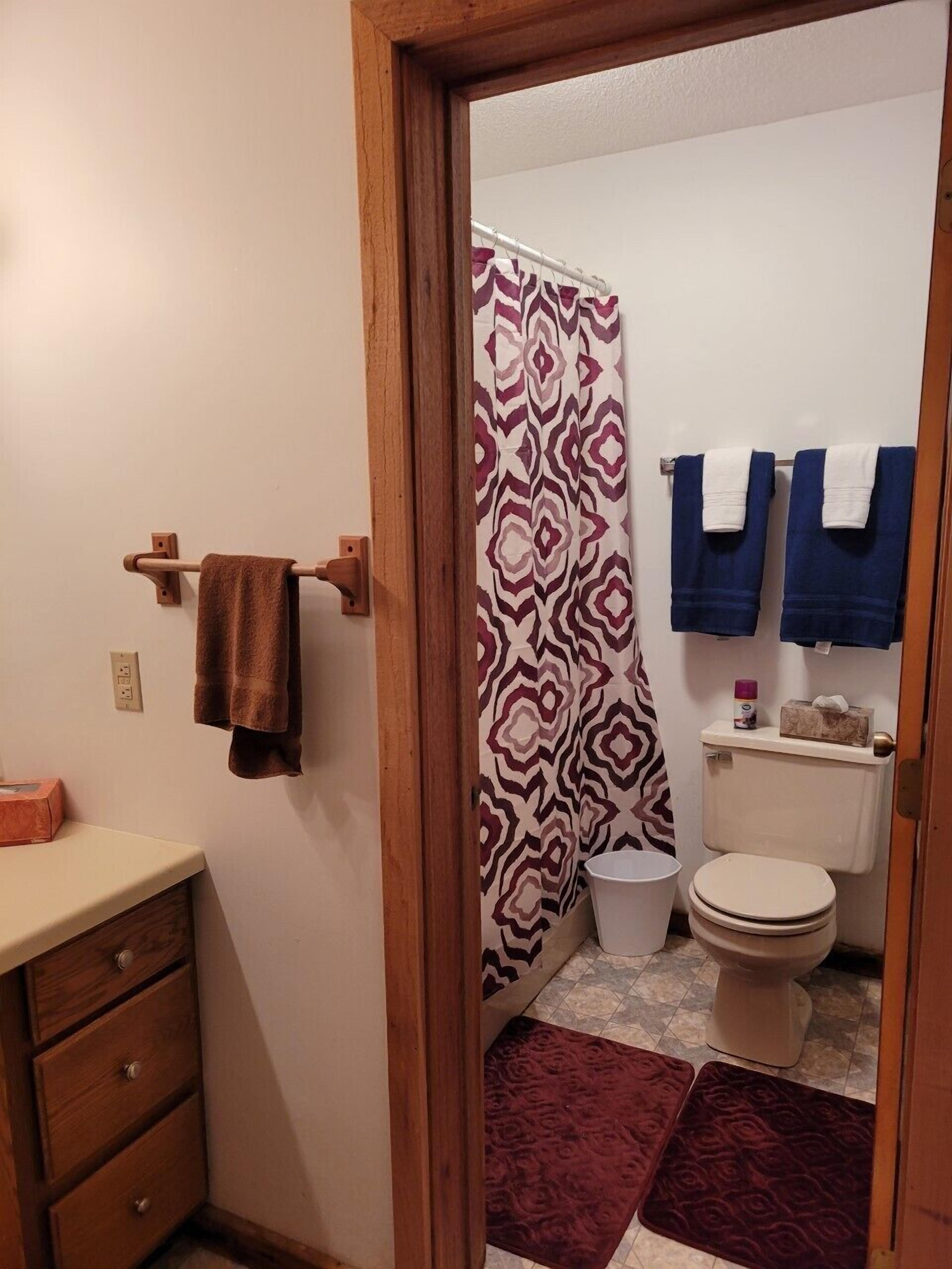 A bathroom with a shower curtain, two towels, a toilet, and a wooden cabinet.
