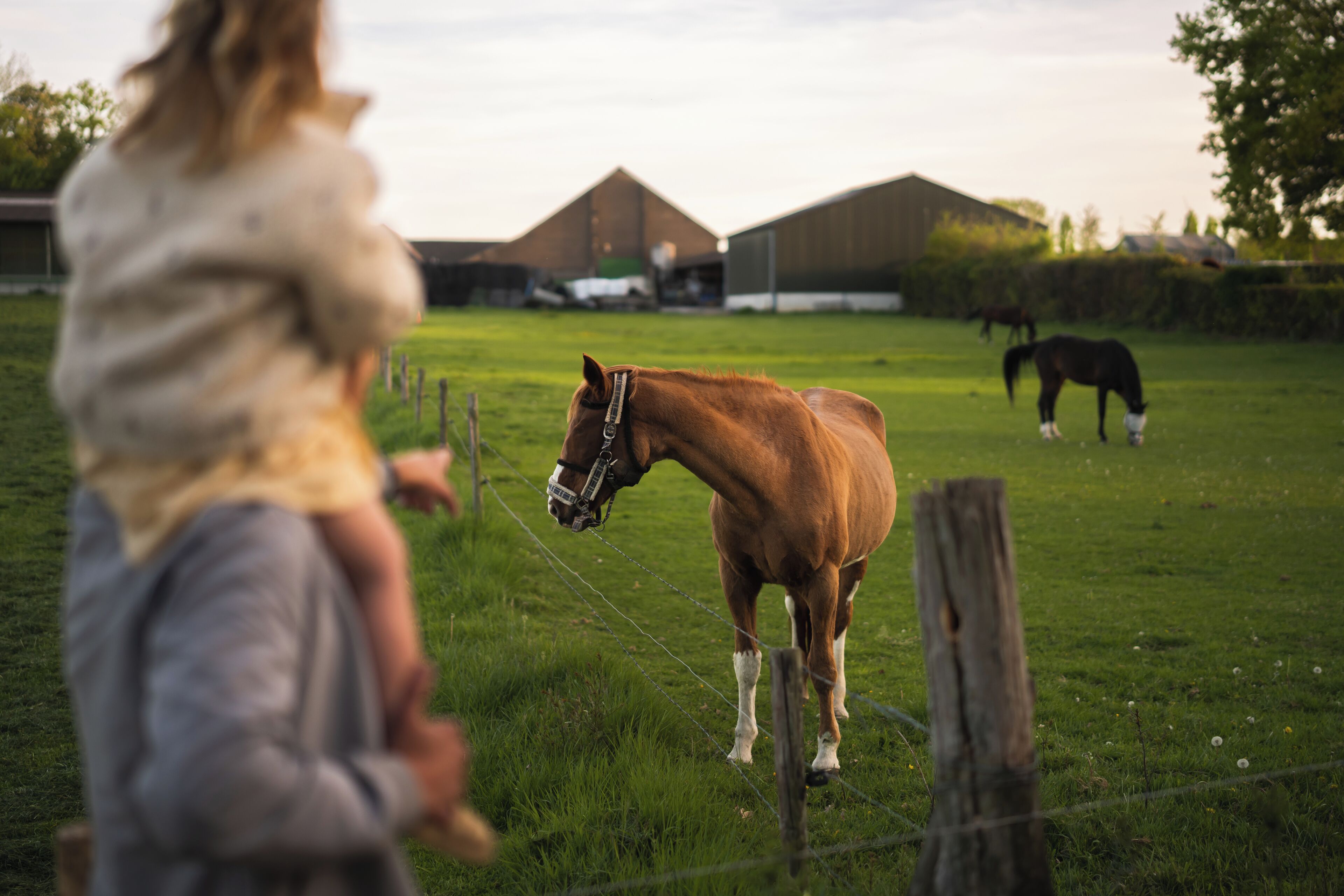 Une personne à cheval dans un champ verdoyant, avec des granges en arrière-plan.