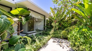 A modern house with a glass facade, surrounded by lush greenery and a variety of tropical plants. - 3-Bedroom Kejora 12 (Denpasar)