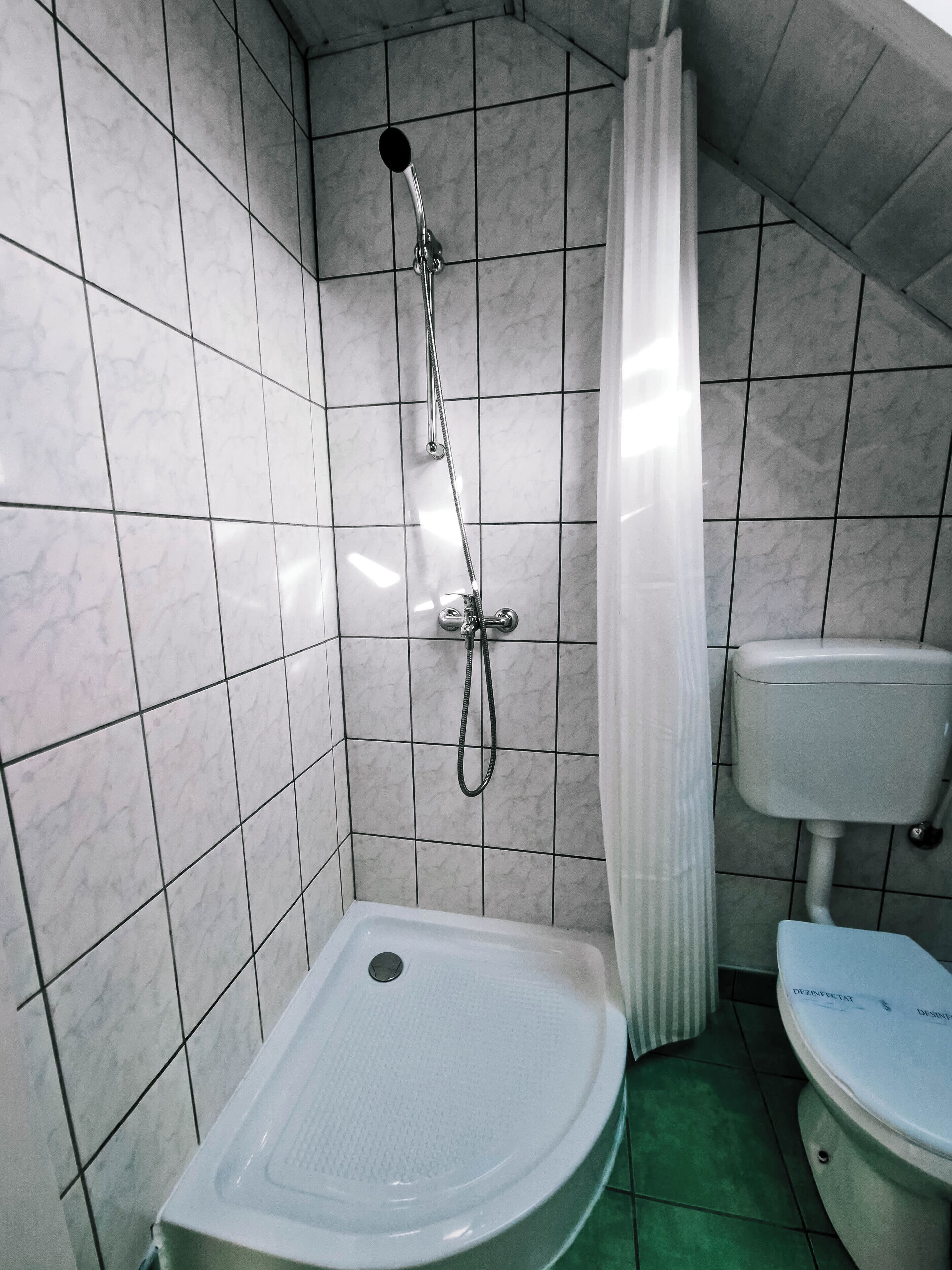Une petite salle de bain avec douche, toilettes et murs carrelés.