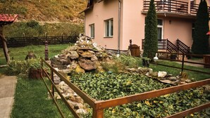 Ein Garten mit Teich, Steinmauer und einem Gebäude mit Balkon.