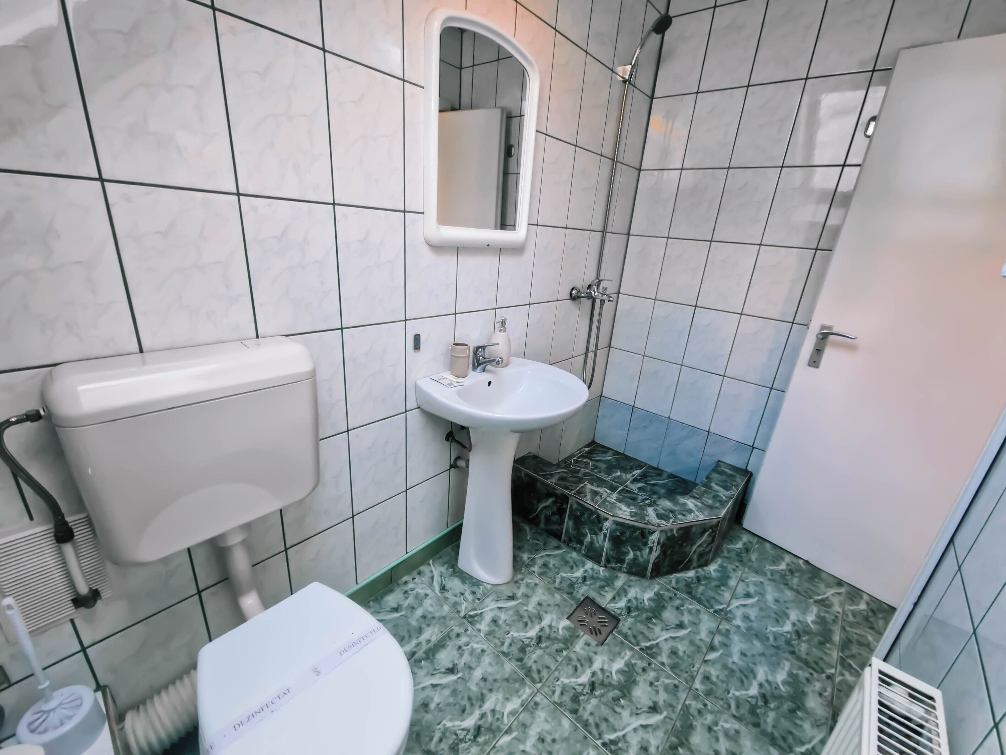 A bathroom with a toilet, sink, and shower.