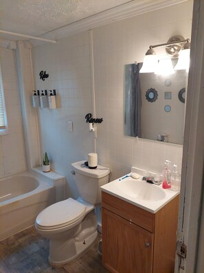 Secadora de cabello, toallas, jabón, shampoo