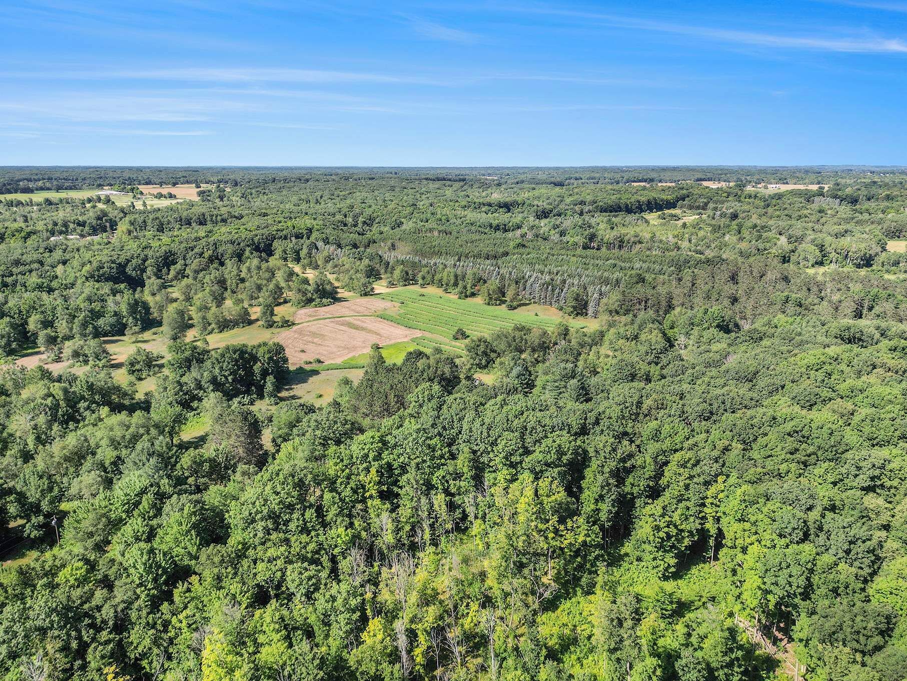 An aerial view of a forested area with a clear patch of cultivated land.