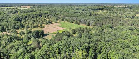 An aerial view of a forested area with a clear patch of cultivated land.