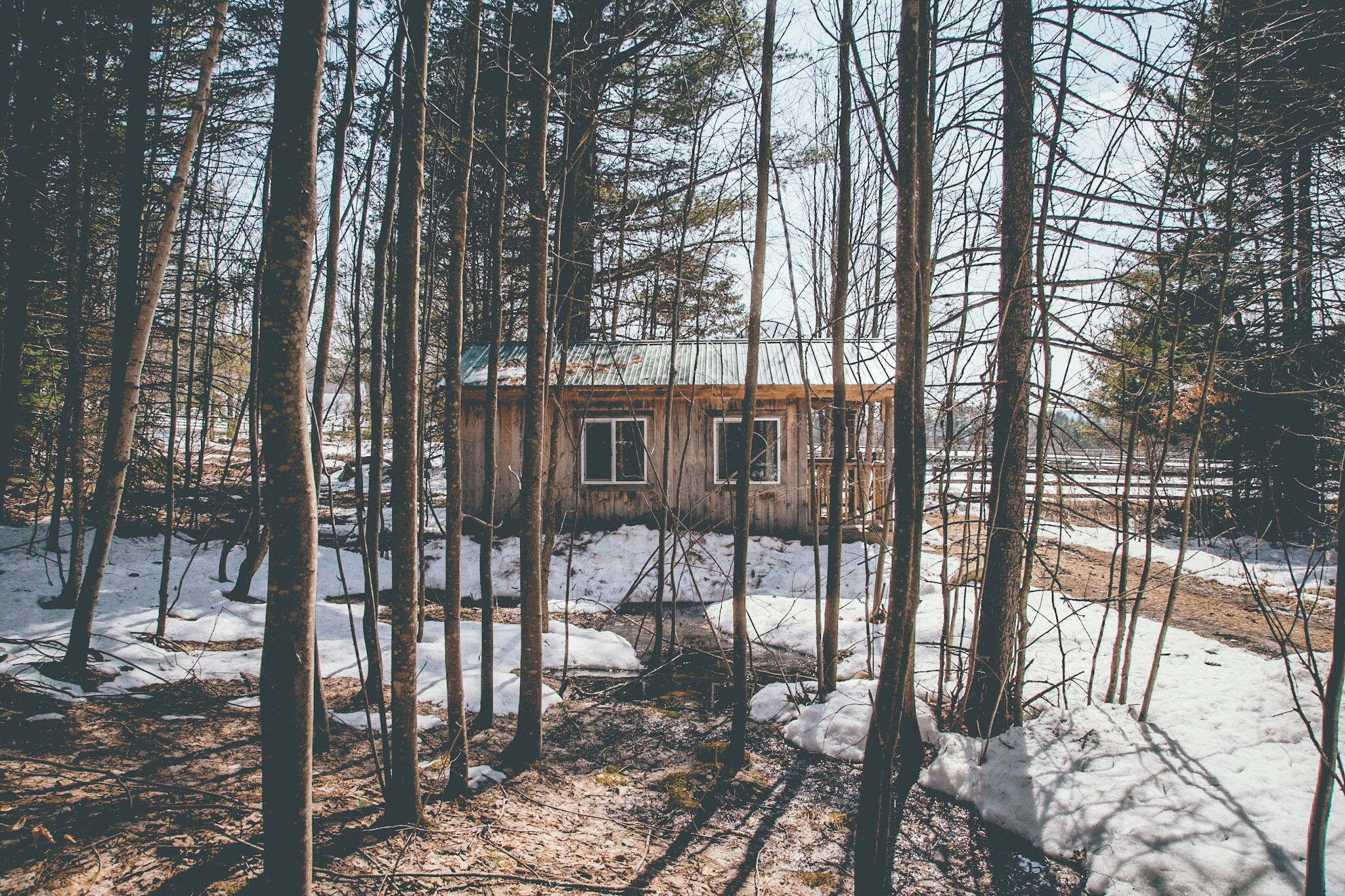 Eine Hütte, umgeben von hohen Bäumen und verschneitem Boden.