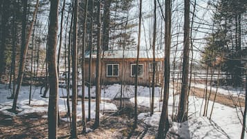 Eine Hütte, umgeben von hohen Bäumen und verschneitem Boden.