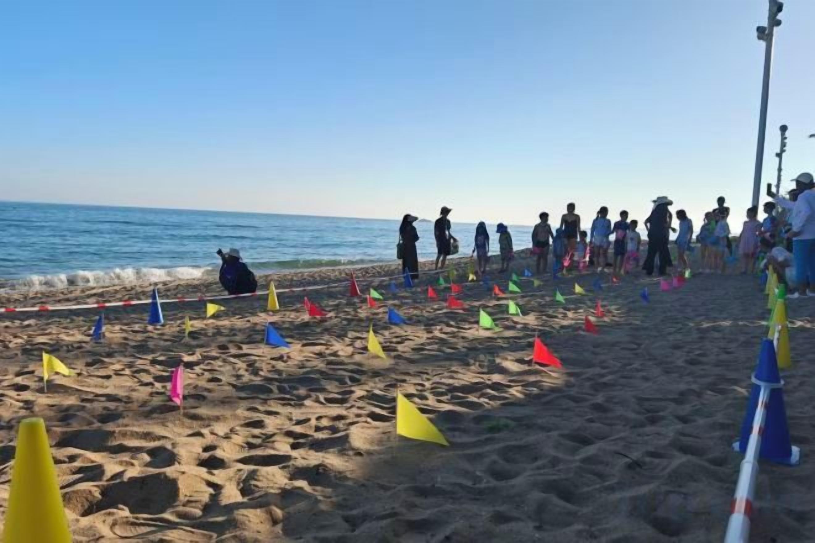 A beach with people and colorful flags on the sand.