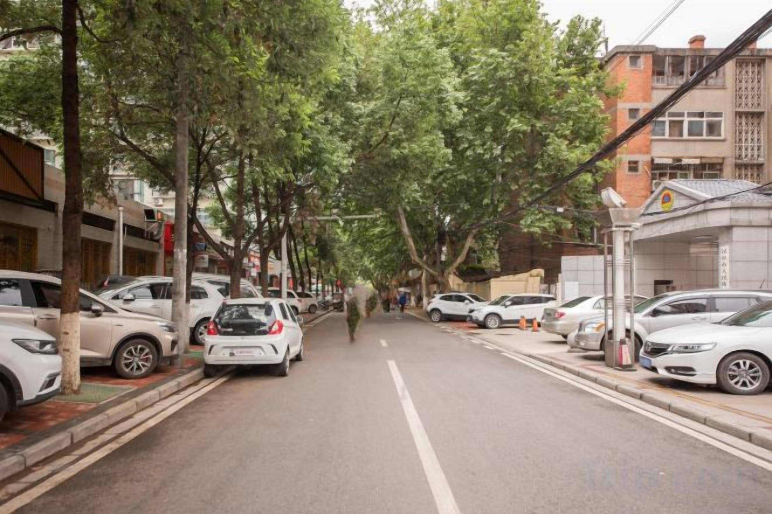 Una calle arbolada con coches aparcados y edificios a ambos lados.