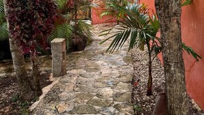 A stone pathway leading through a courtyard with trees and a stone wall. - Unahana Hotel Boutique & villas (Valladolid)