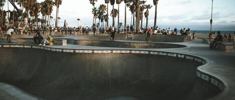 A skate park with curved ramps and palm trees in the background.