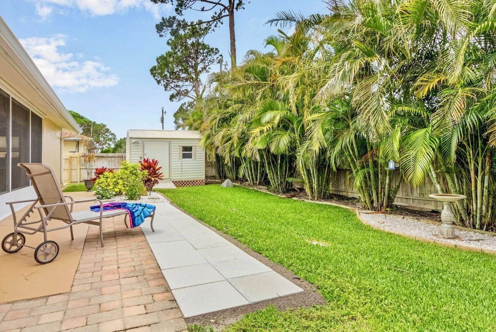 A backyard with a patio, a small shed, and a variety of tropical plants.