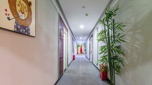 A hotel corridor with a long hallway, doors on the left, and a large bamboo plant on the right.
