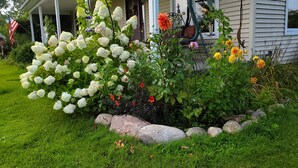 A house with a porch, a garden with hydrangeas, and a flag. - Sweetfern Inn (Clare)