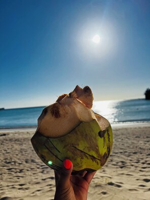 A hand holding a coconut on a beach with a clear sky and ocean in the background.