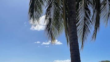 沙滩毛巾